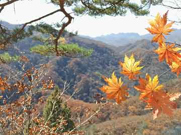 四川兩民企發(fā)行科技創(chuàng)新債券:全局釋義、解釋與落實(shí),抵制虛假性標(biāo)榜